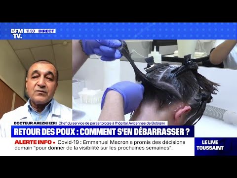 Retour des poux: comment s&#039;en débarrasser ? BFMTV répond à vos questions