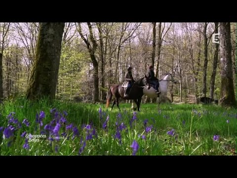 La Creuse, un eden naturel - Echappées belles