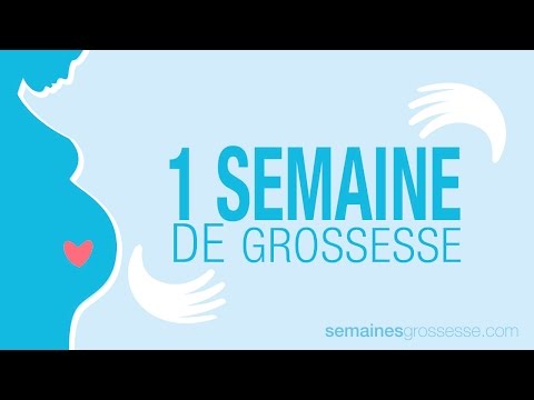 1 semaine de grossesse | Semaine 1 de grossesse | La grossesse semaine par semaine