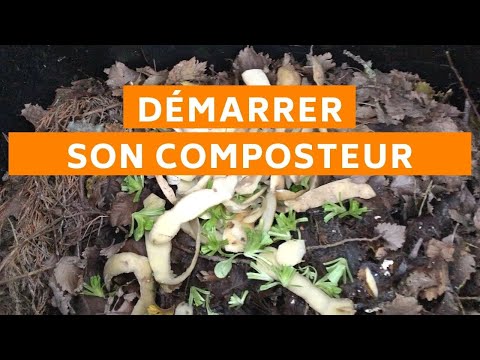 Démarrer son composteur (pour que ça fonctionne !) #compost