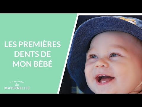 Les premières dents de mon bébé - La Maison des maternelles #LMDM