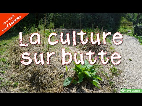 La culture sur butte - Le conseil des 4 saisons