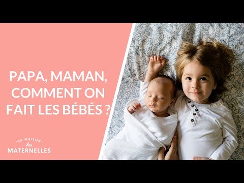 Papa, maman, comment on fait les bébés ? - La Maison des maternelles #LMDM