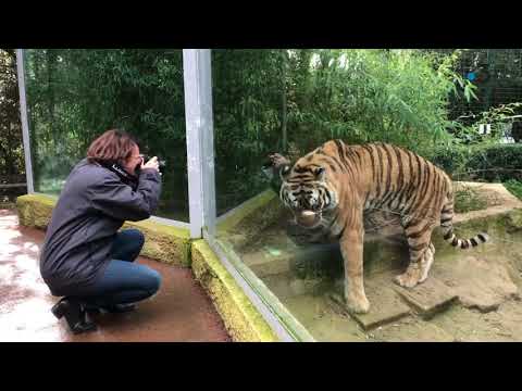 Une journée au Zoo de la Palmyre en Charente-Maritime