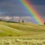 couleur arc en ciel