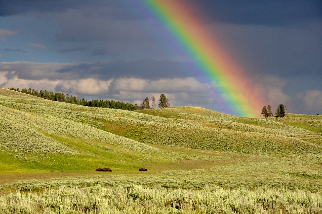 couleur arc en ciel
