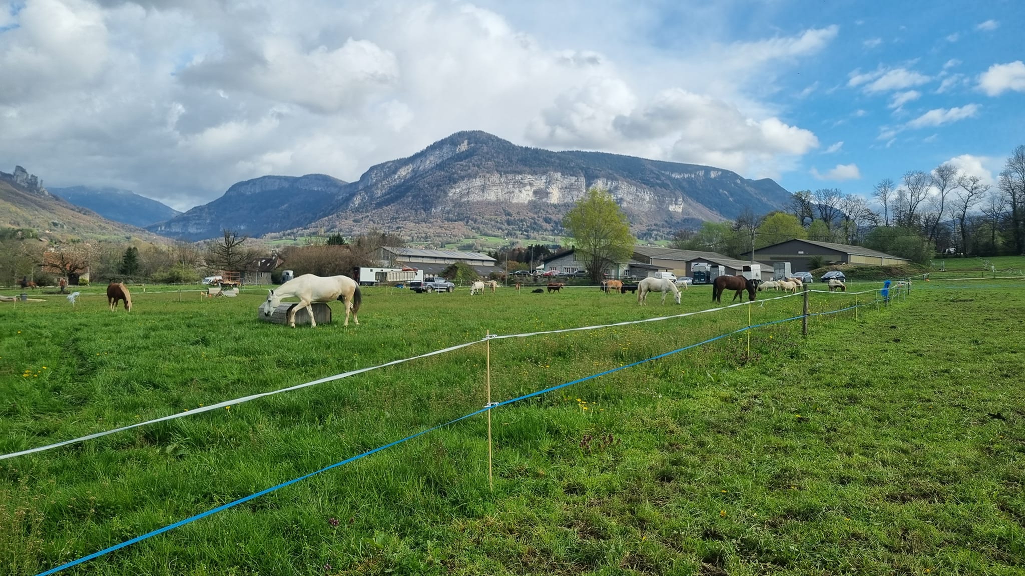 balade a poney massif des bauges