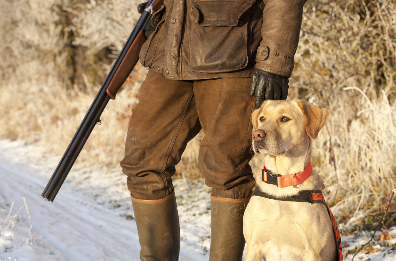 Ouverture Chasse 2024 2025 Image to u
