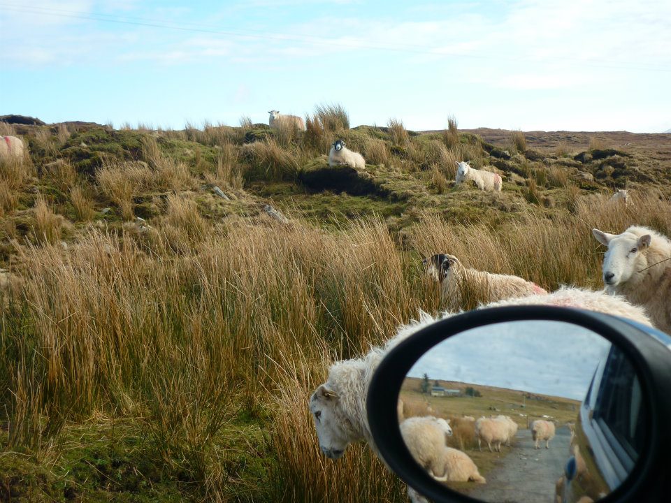 lac du connemara