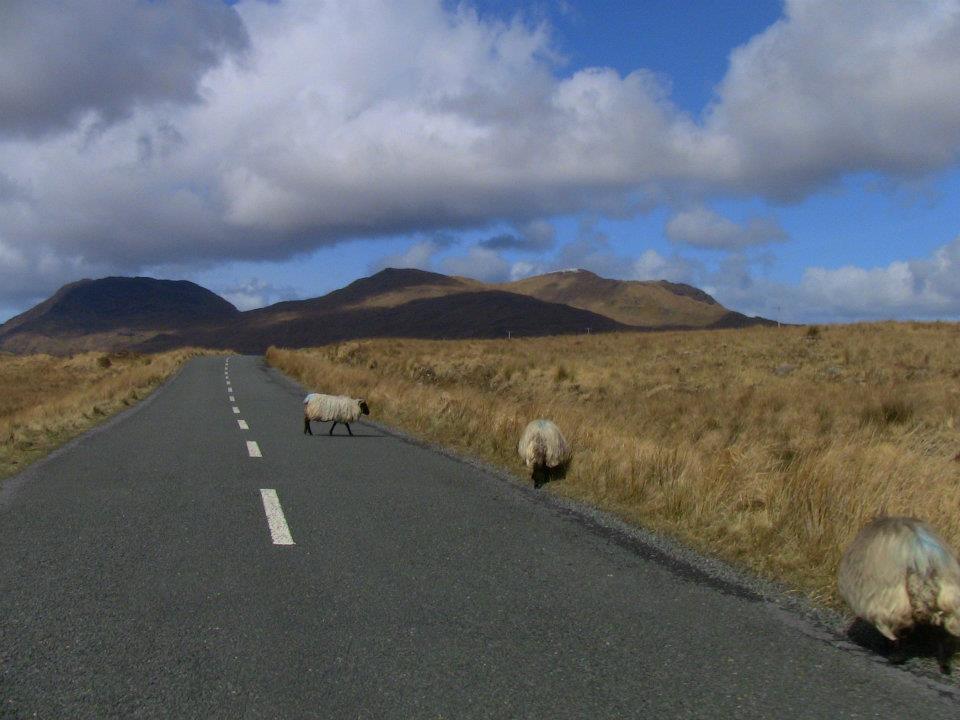 Connemara Irlande