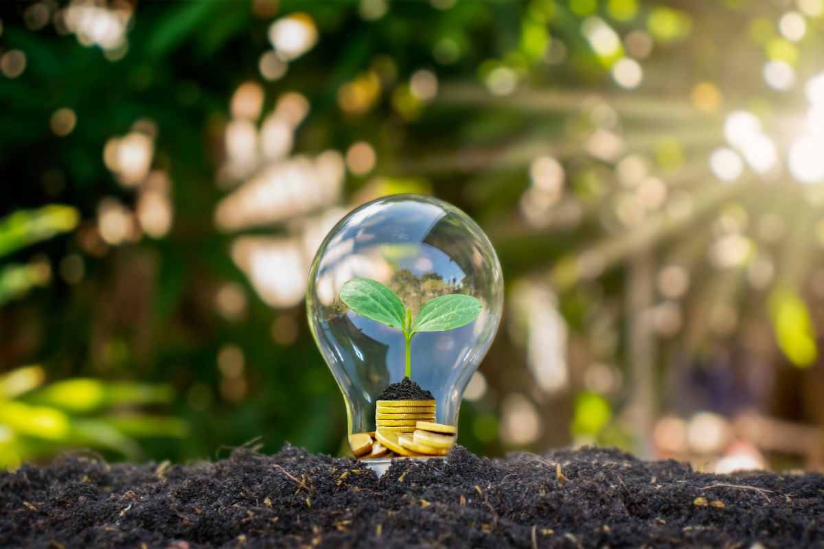 Comment faire des économies d'énergie dans sa maison ?