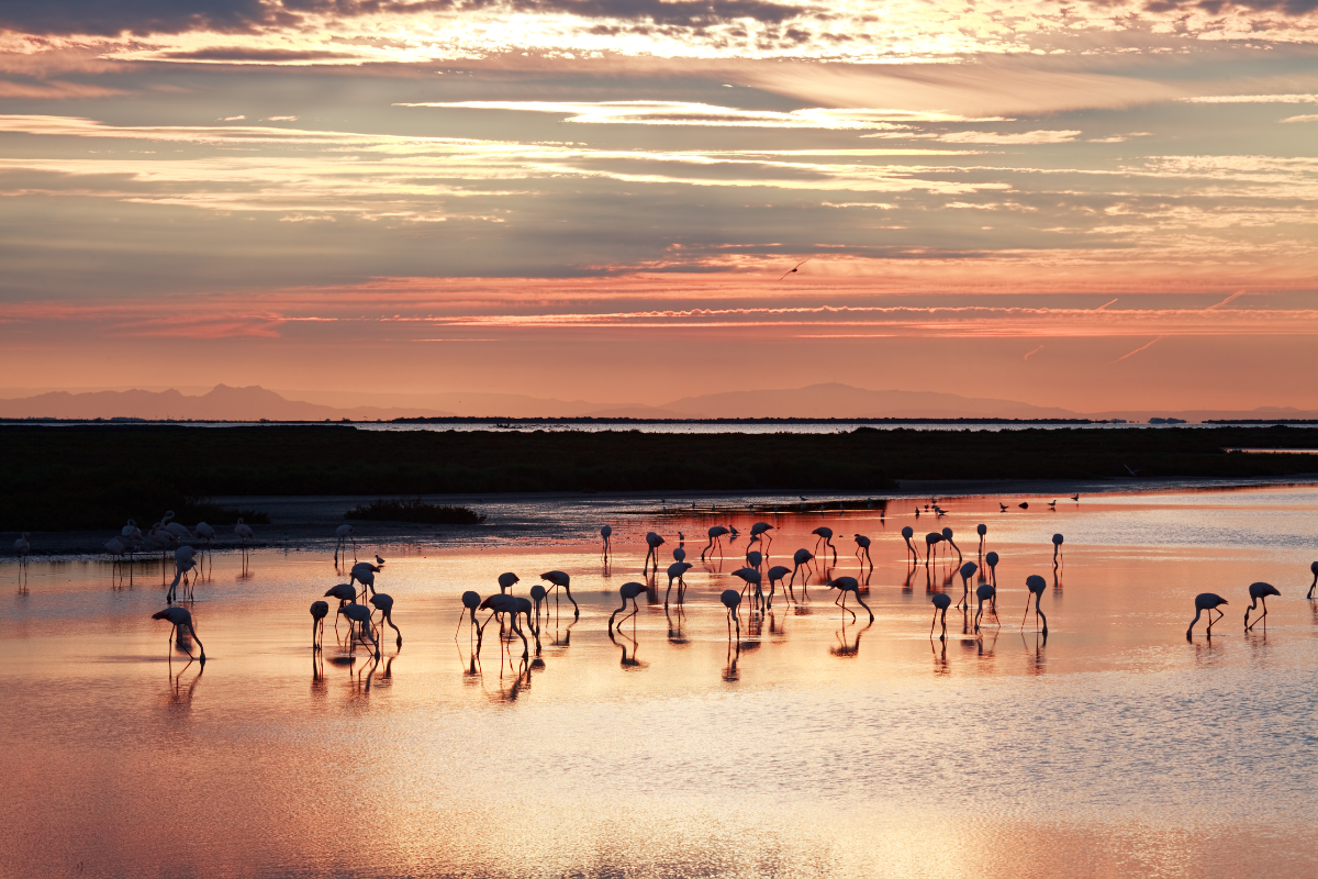 voyage en famille en france destinations