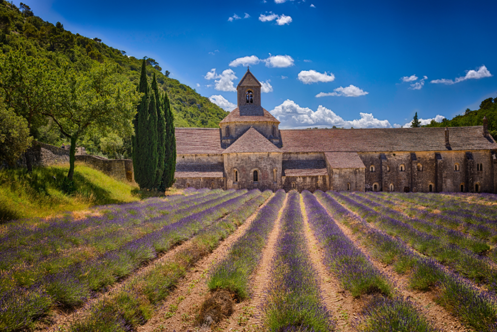 Notre-Dame de Sénanque champs de provence france