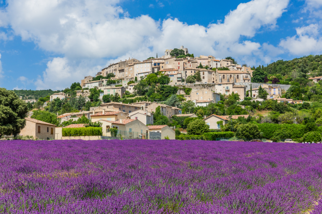 Simiane-la-Rotonde champs de provence france