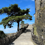 Visite du Château de Murol auvergne