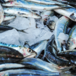 consommation-responsable-produits-mer
