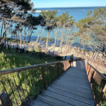 que faire sur le bassin d'arcachon en famille