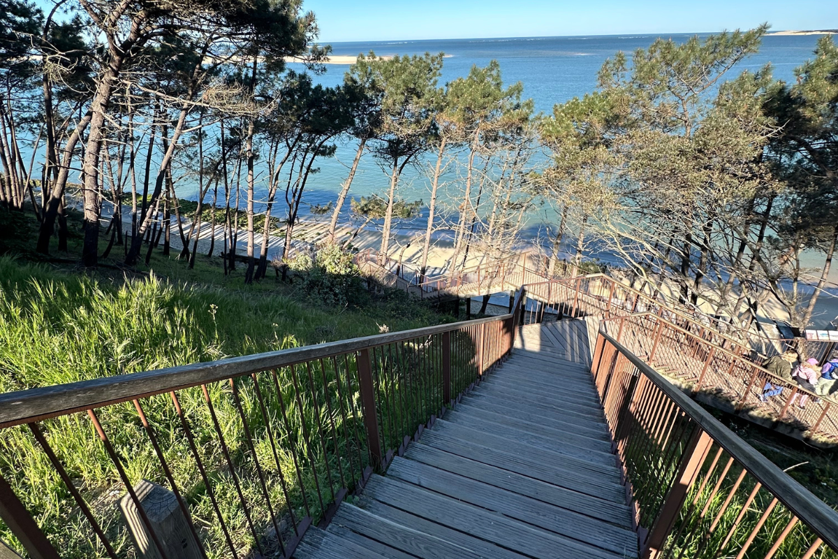 que faire sur le bassin d'arcachon en famille