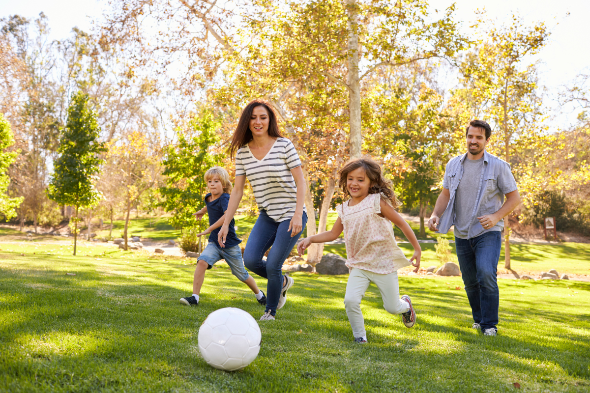 Activités de plein air à faire en famille près de chez vous