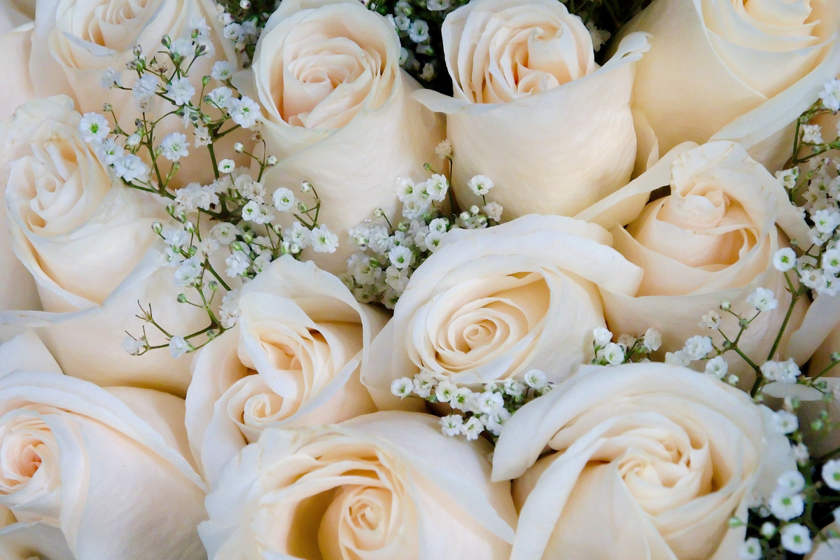 Quelles fleurs offrir à l’occasion d’un mariage