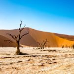 Voyage en Namibie - Paysages, faune et aventures uniques