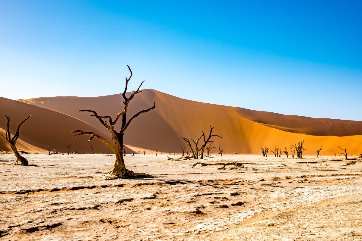 Voyage en Namibie - Paysages, faune et aventures uniques