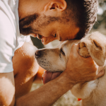 Comment se remettre de la mort de son chien