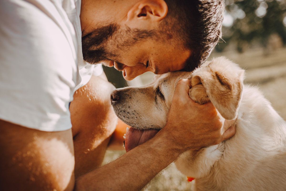 Comment se remettre de la mort de son chien