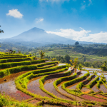 Voyage en Famille à Bali Astuces et Itinéraires Incontournables