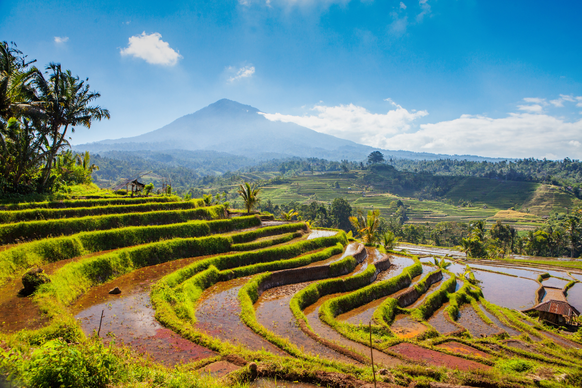 Voyage en Famille à Bali Astuces et Itinéraires Incontournables
