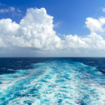Croisière ou voyage organisé