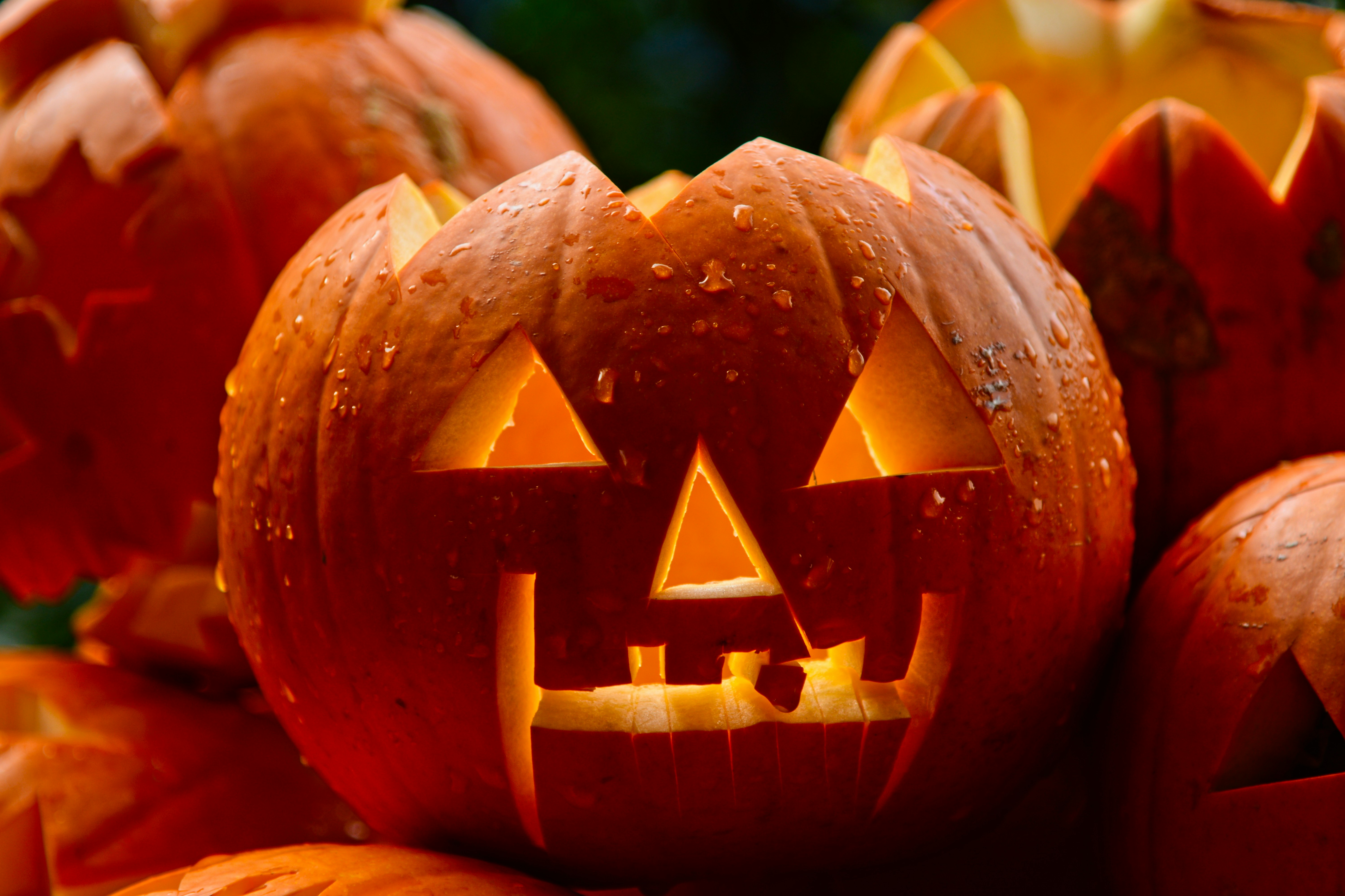 idees deco halloween 2025