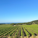 destination pour partir en france en famille