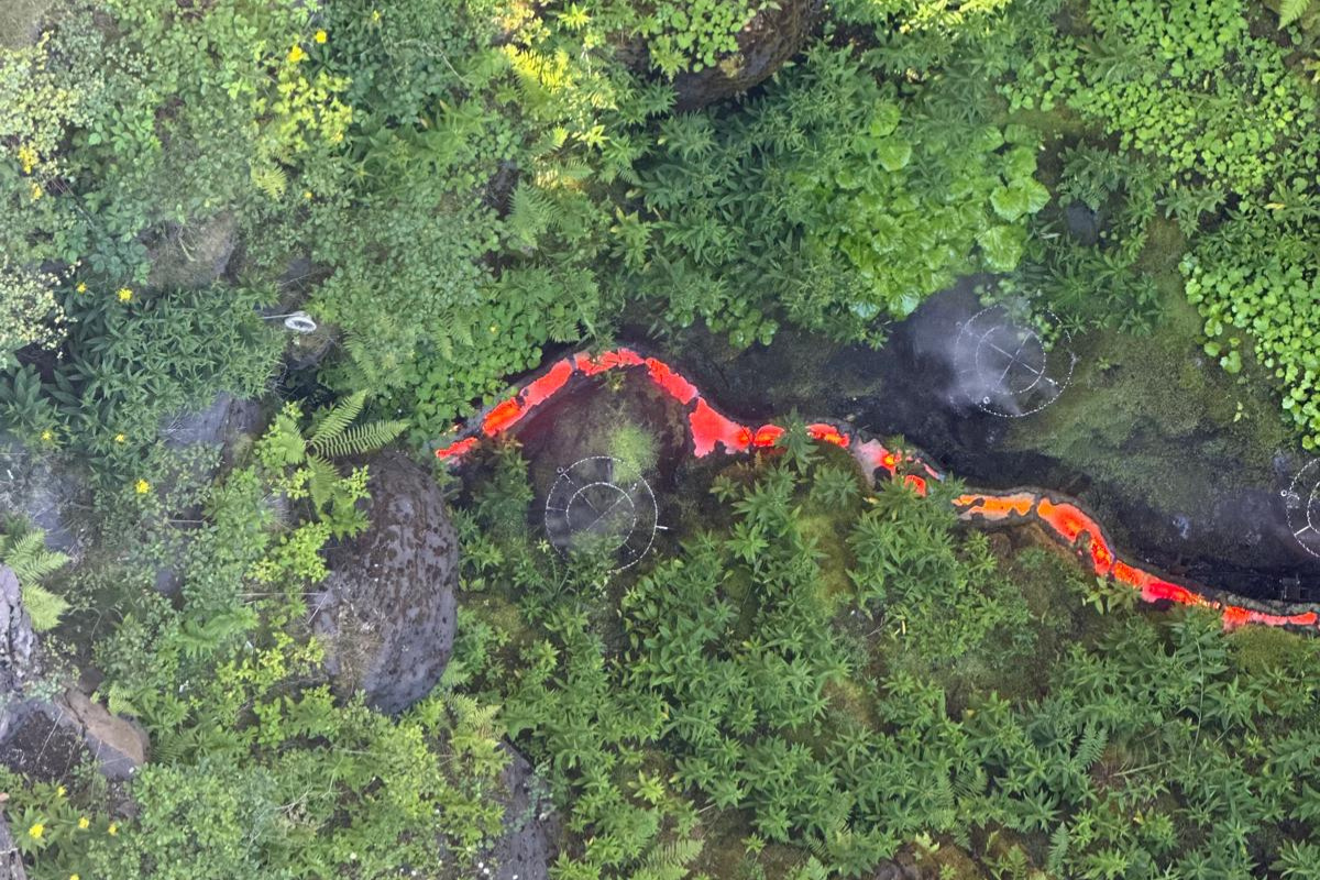 vulcania en famille 2026