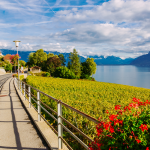 Où acheter une vignette suisse en France : guide complet pour se procurer le précieux sésame ou acheter facilement votre vignette suisse en France